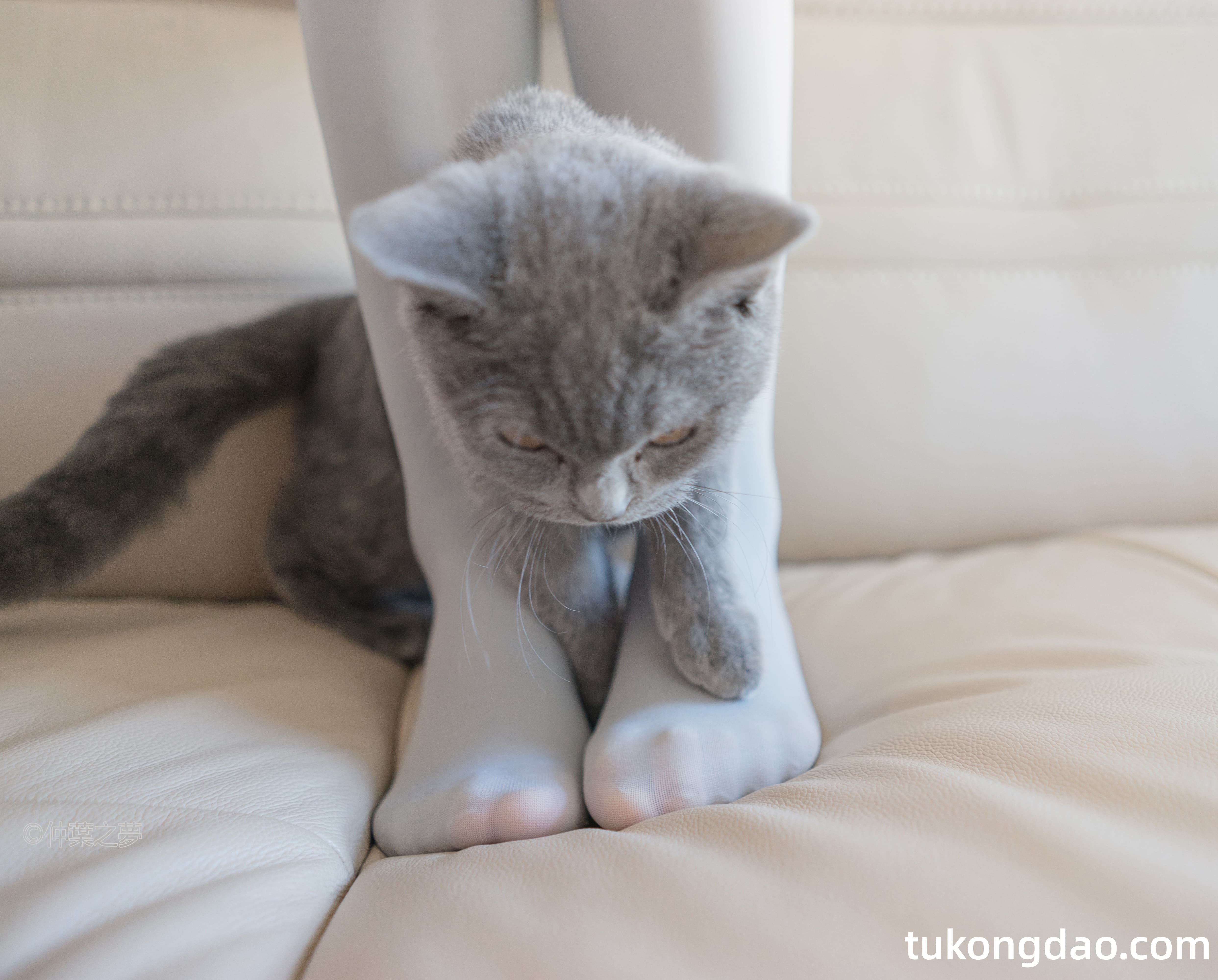 轻兰映画 SPL.014 写真集 写真系列-第21张